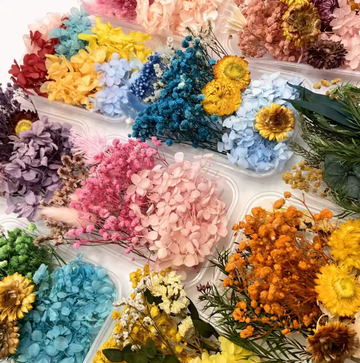 Flores deshidratadas premium